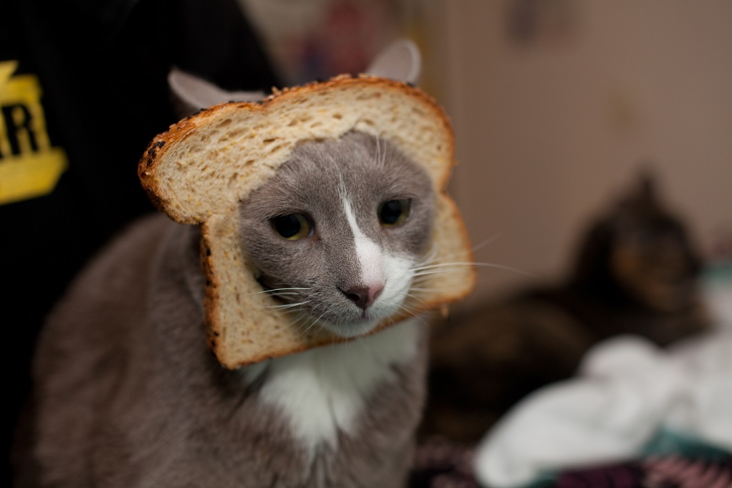 Crouton #4 - Getting Your Head Around Headers