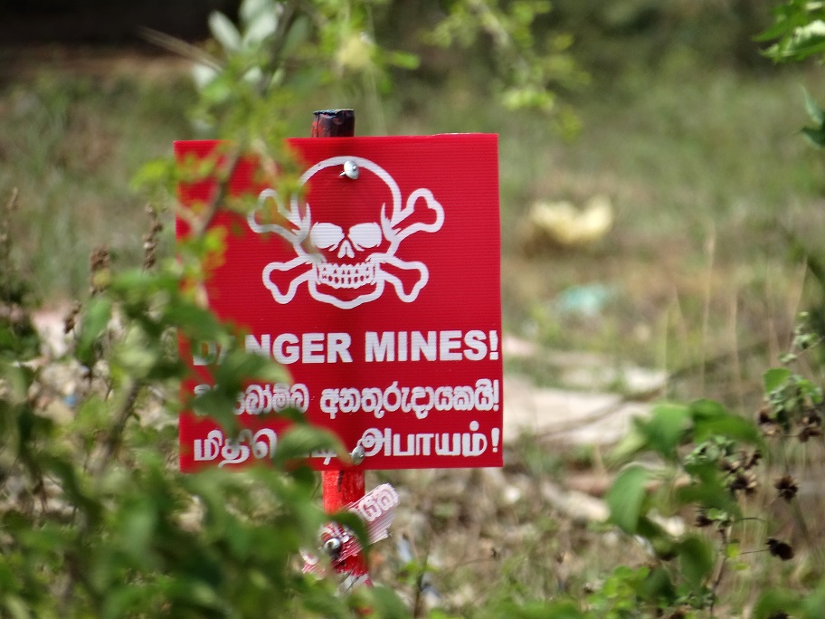 Old Office 365 Training: Navigating the Minefield